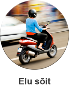 elu-225x300 elu-225x300